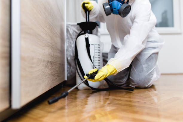 Pest Control Cost in Desert Hot Springs, CA