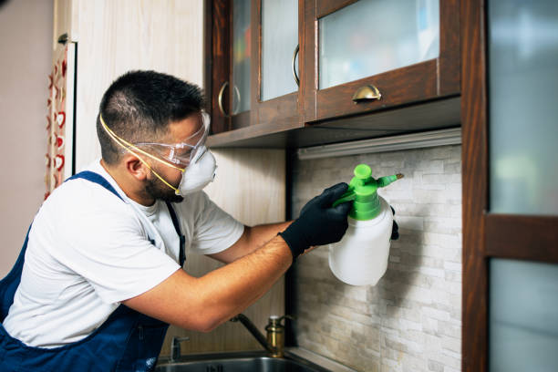 Best Wildlife Control Services  in Desert Hot Springs, CA