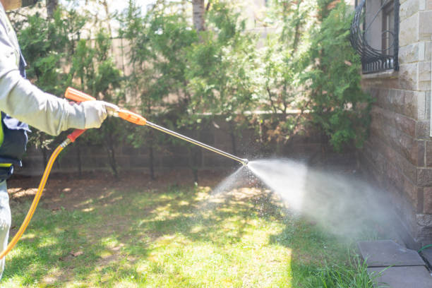Professional Pest Control in Desert Hot Springs, CA