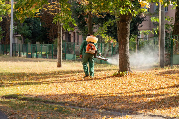 Pest Prevention Services in Desert Hot Springs, CA