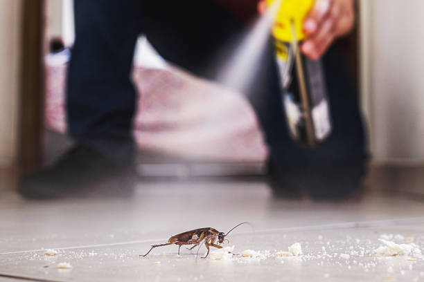 Best Wasp Removal Services  in Desert Hot Springs, CA